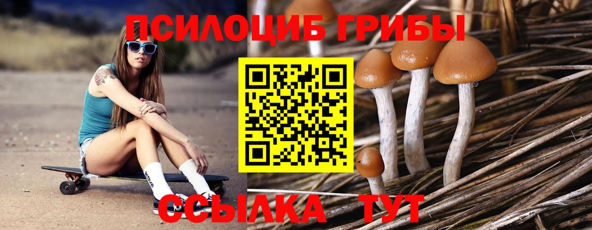 Псилоцибиновые грибы MAGIC MUSHROOMS  Псилоцибиновые грибы Magic Shrooms  Вход с VPN  Нефтеюганск 